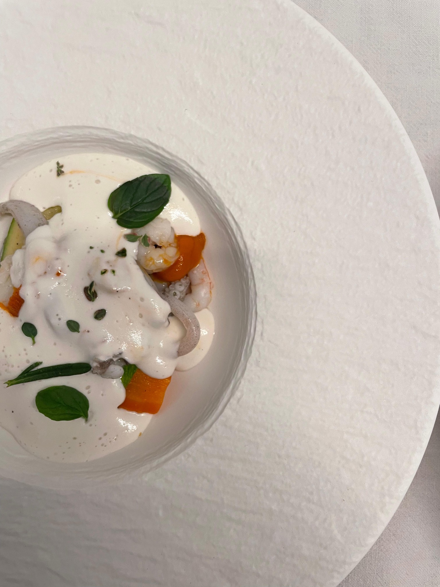 Cream of burrata with prawns and basil