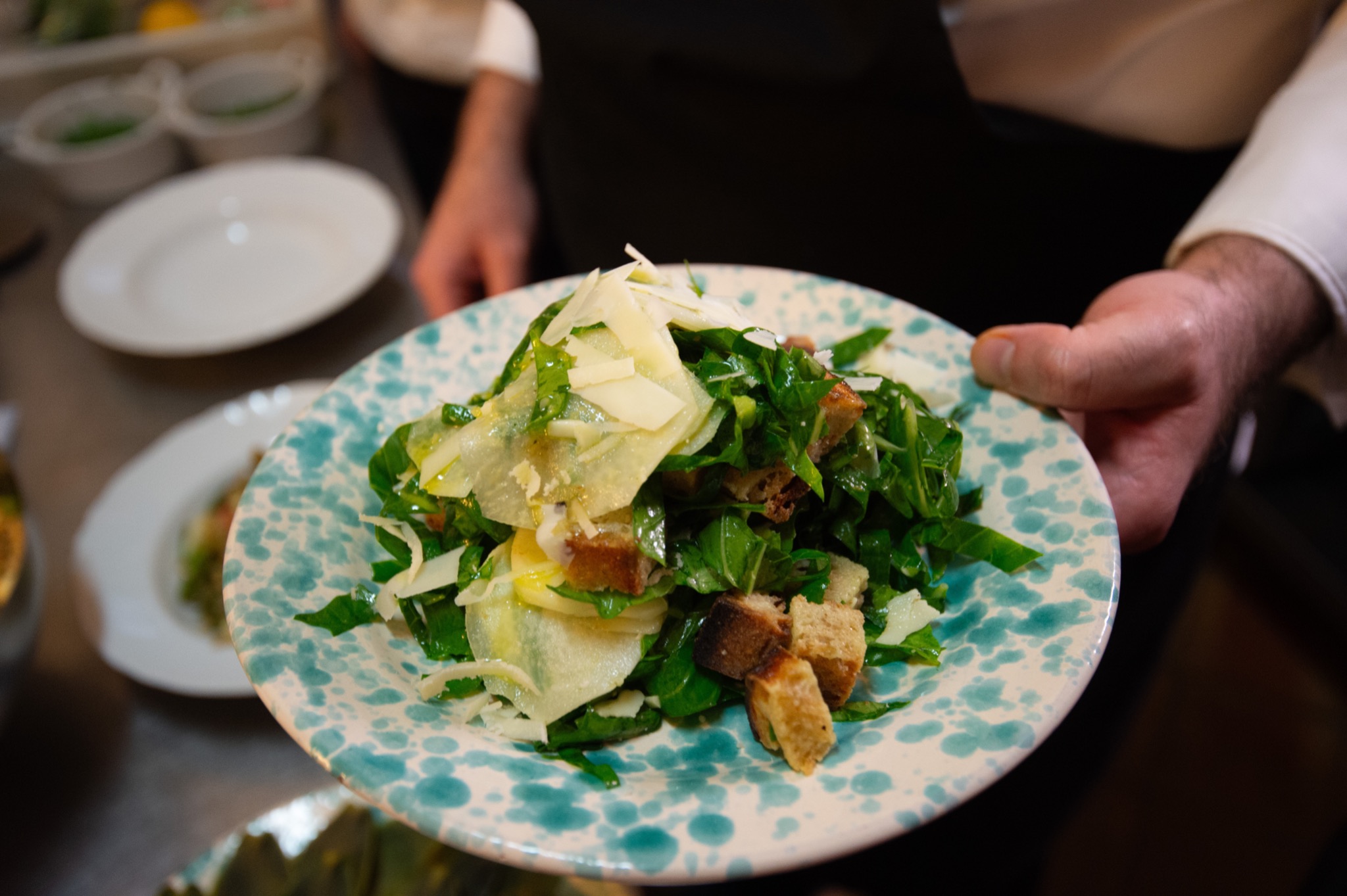 Fresh salad with parmesan and croutons